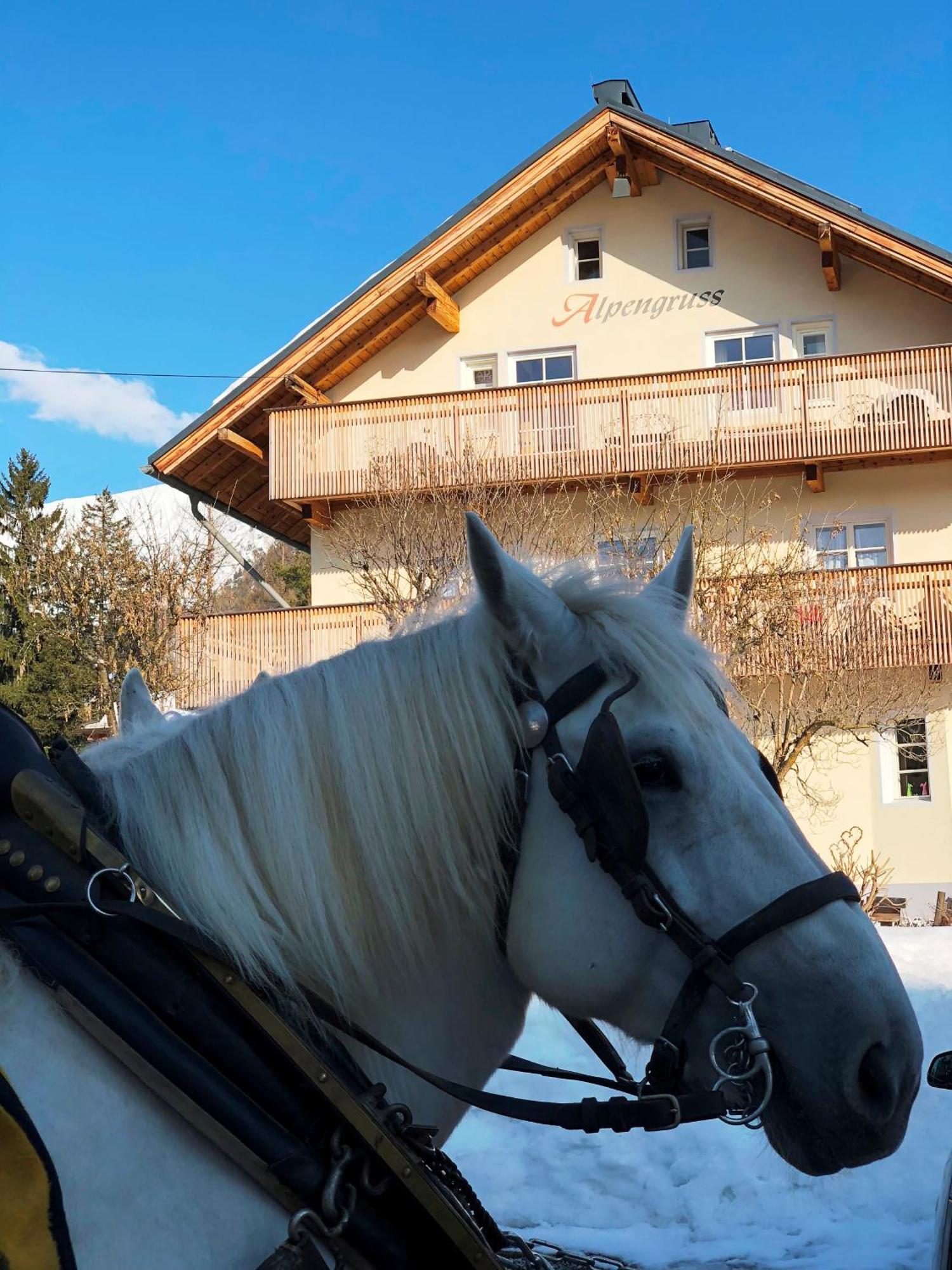 Hannas Alpengruss Apartment - Zimmer Seefeld in Tirol Exterior foto